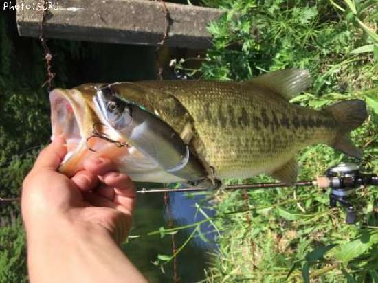 �֥�å��Х�