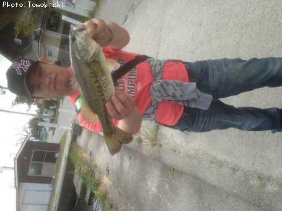 �֥�å��Х�