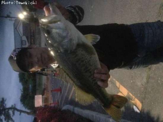 �֥�å��Х�