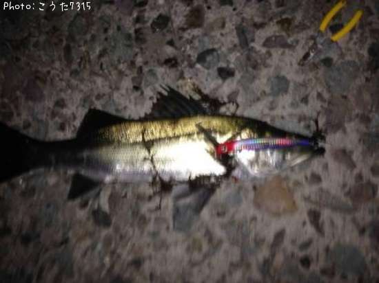 �����Х�