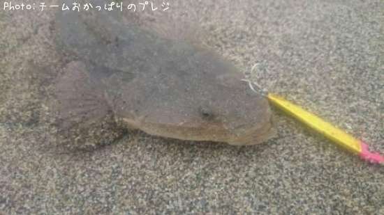 �ޥ���