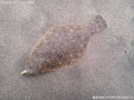 �ҥ��ʥ�����