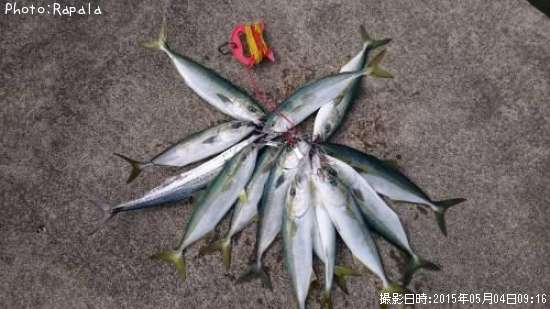 ���ʥ�����