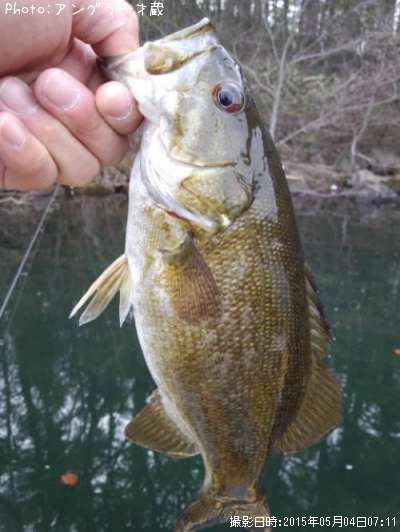 ���⡼��ޥ����Х�