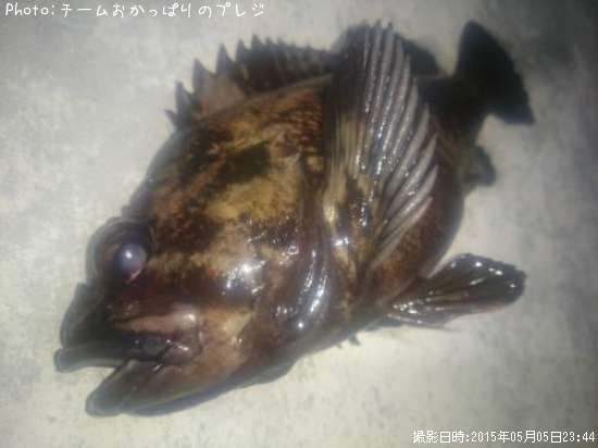 ���������饽��