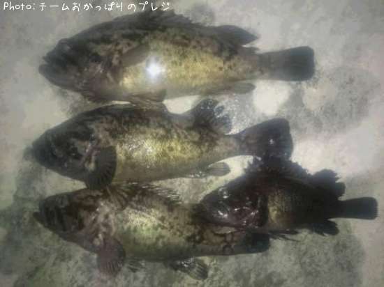 �ޥ�������������