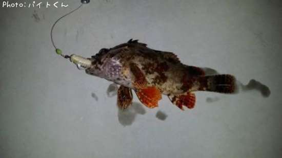 �������Х�