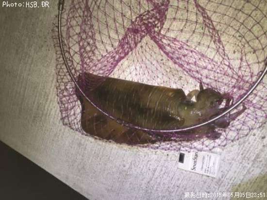 �����ꥤ��