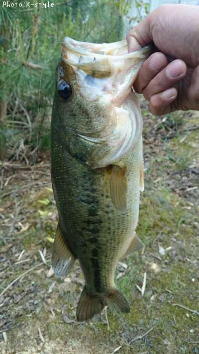 �֥�å��Х�