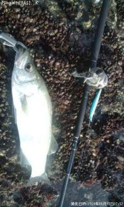 �ҥ饹����