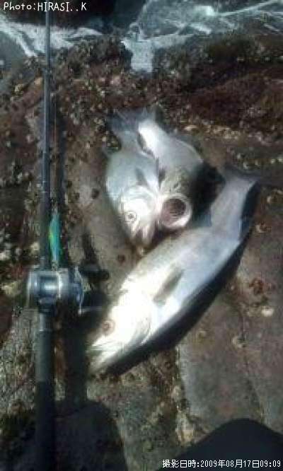 �ҥ饹����