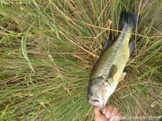 �֥�å��Х�