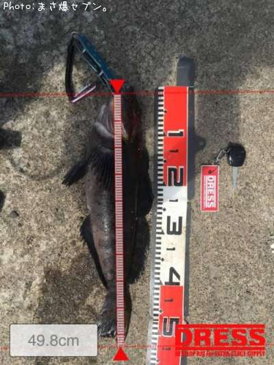 �����ʥ�