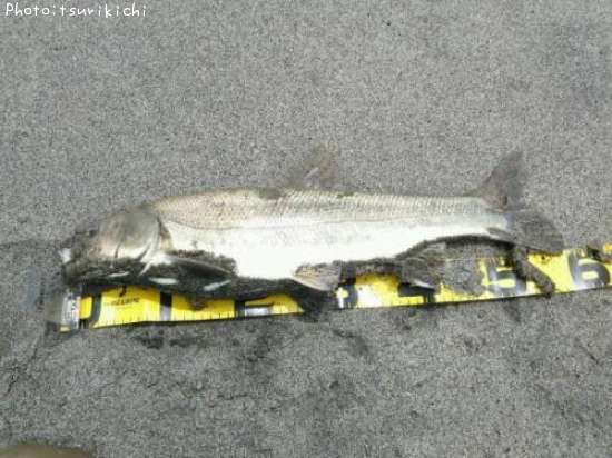 �ޥ륿������