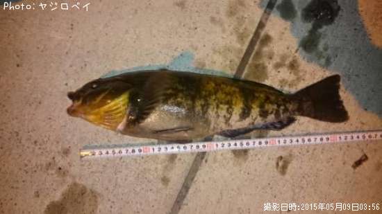 �����ʥ�