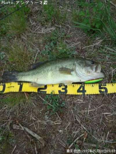 �֥�å��Х�