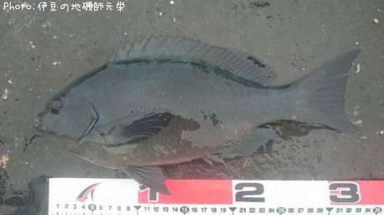 �����᥸��