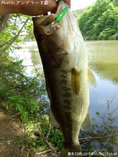 �֥�å��Х�