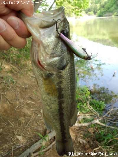 �֥�å��Х�