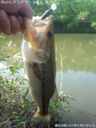 �֥�å��Х�