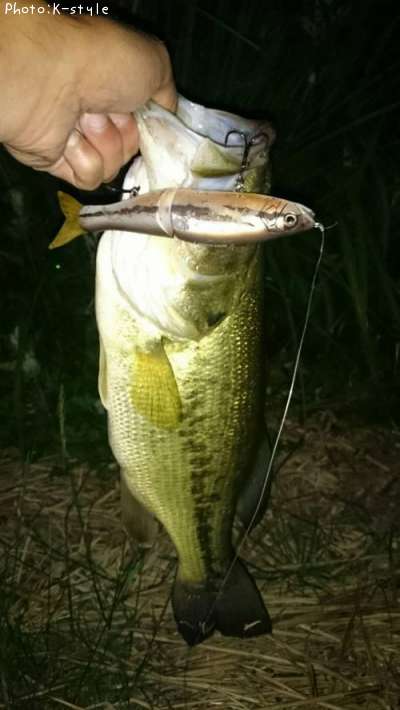 �֥�å��Х�