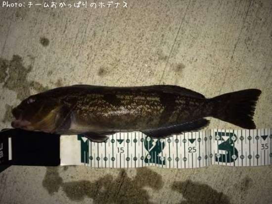 �����ʥ�