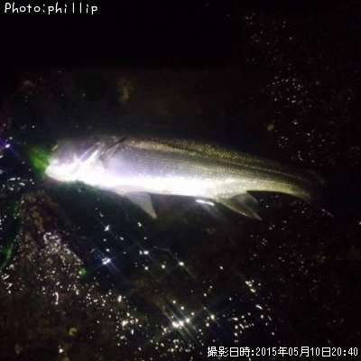 �����Х�