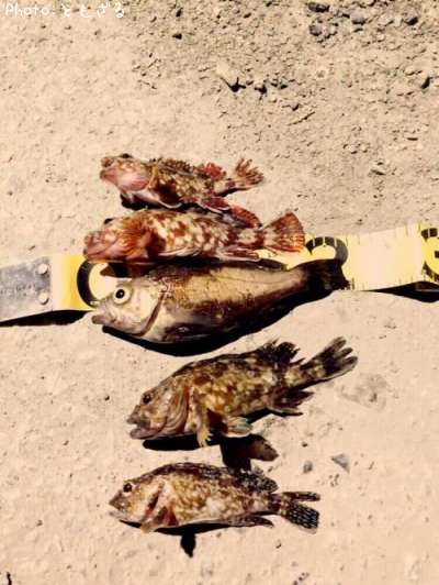 ���å��ե��å���