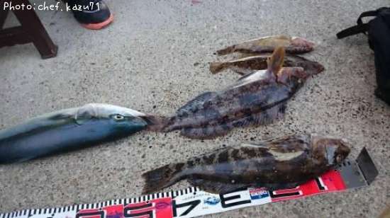 �����ʥ�