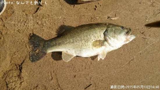 �֥�å��Х�