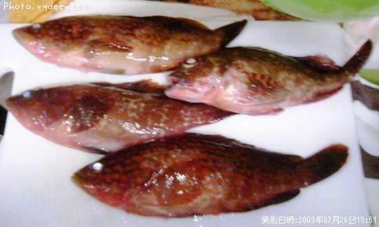 �����ϥ�