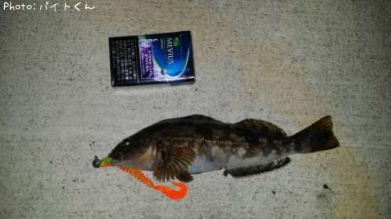 �����ʥ�