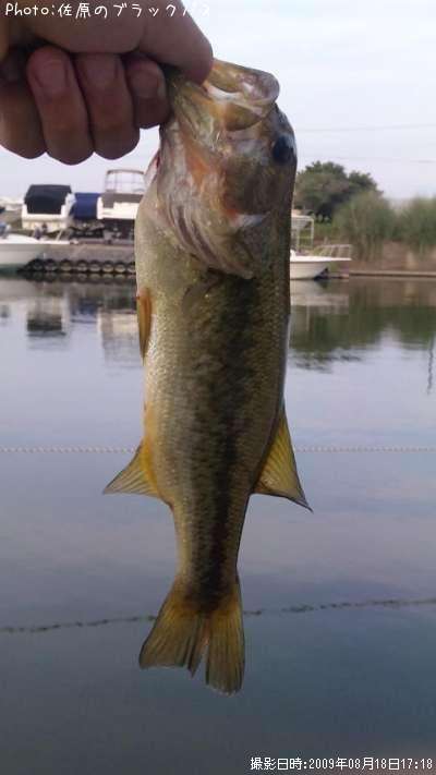 �֥�å��Х�