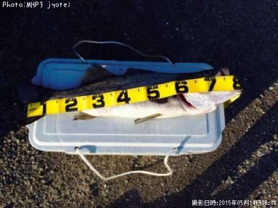 �ҥ饹����