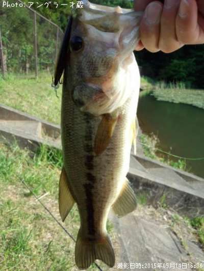 �֥�å��Х�