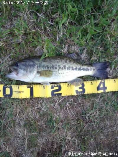 �֥�å��Х�