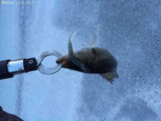 �����Х�