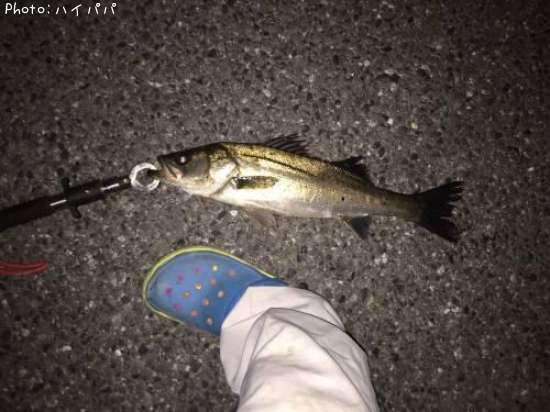 �����Х�