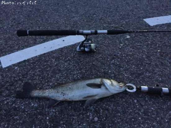 �����Х�