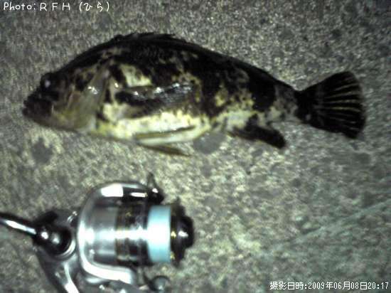 �٥å�������