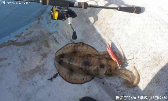 �����ꥤ��