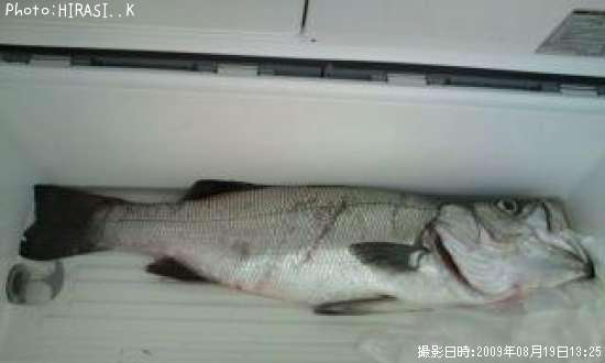 �ҥ饹����