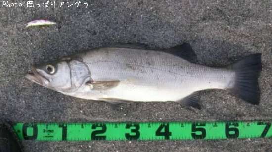 �ҥ饹����