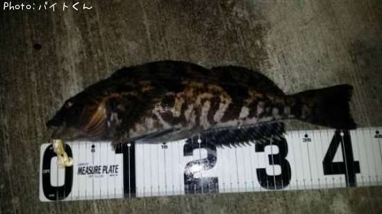 �����ʥ�