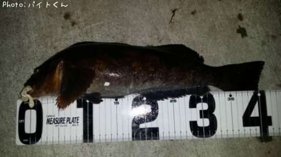 �����ʥ�