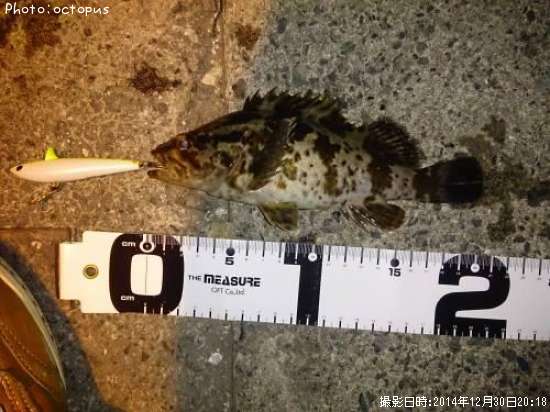 �����Υ���Х�