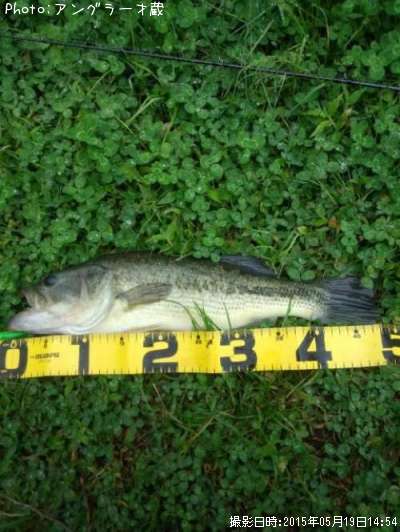 �֥�å��Х�