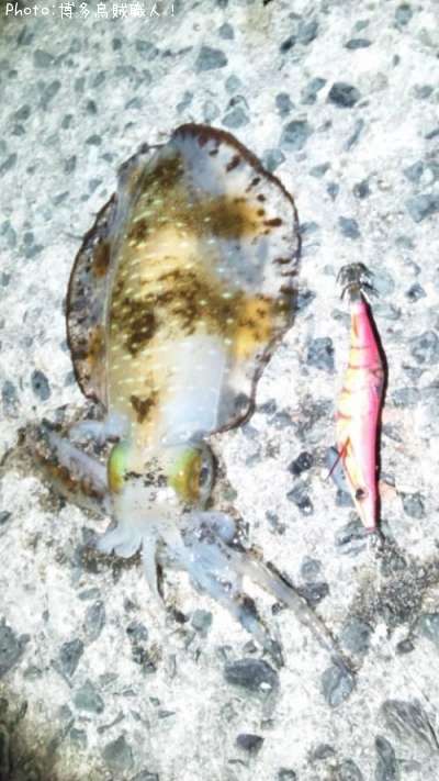 �����ꥤ��