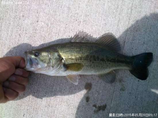 �֥�å��Х�