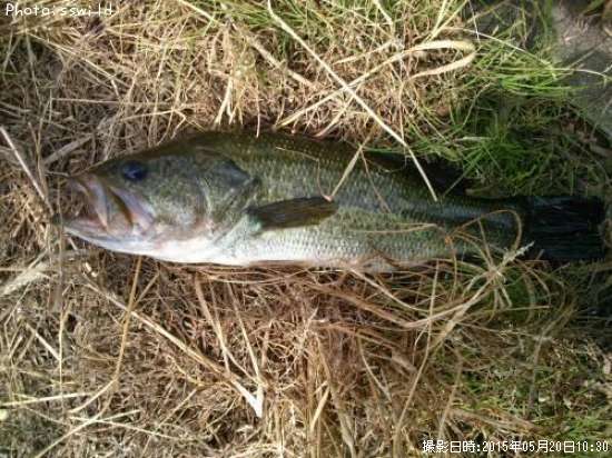 �֥�å��Х�